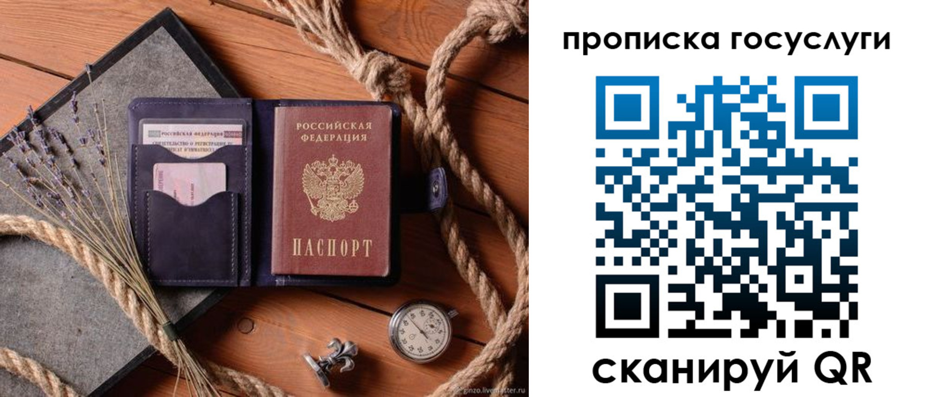 прописка поиск в Дорогобуже